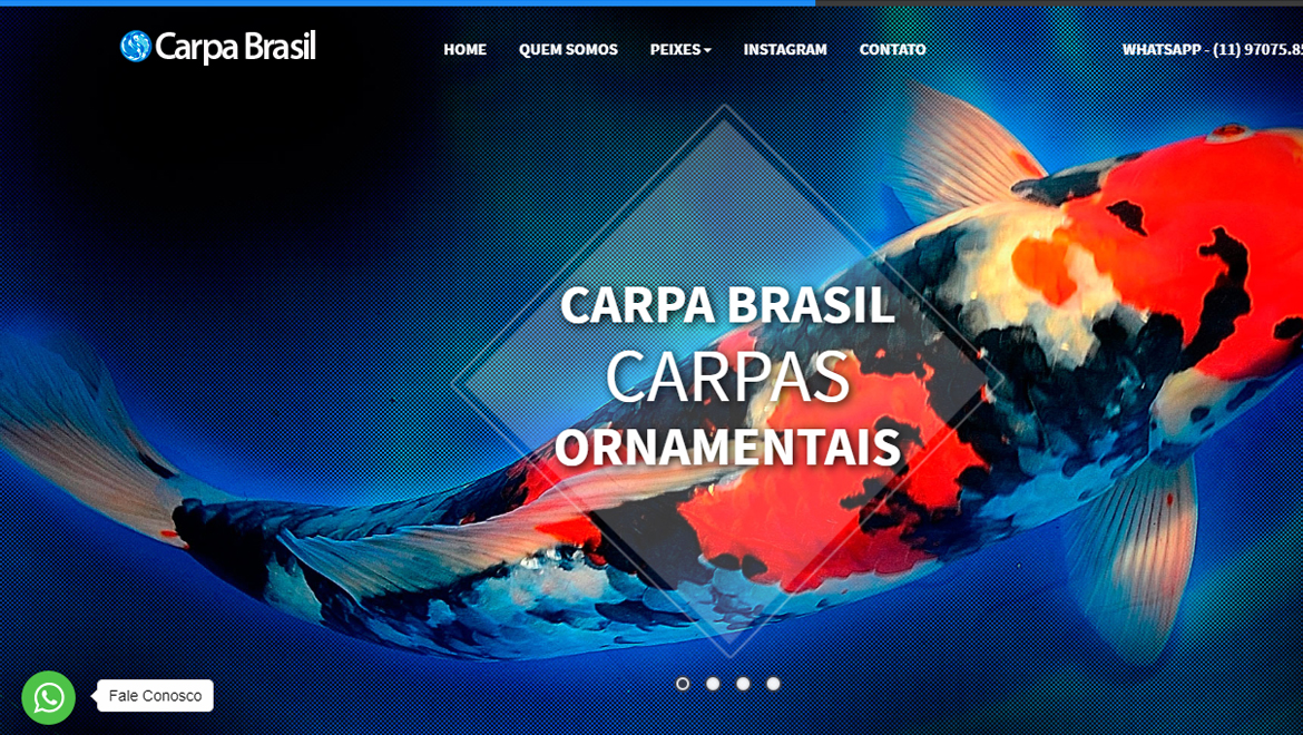 Carpa Brasil