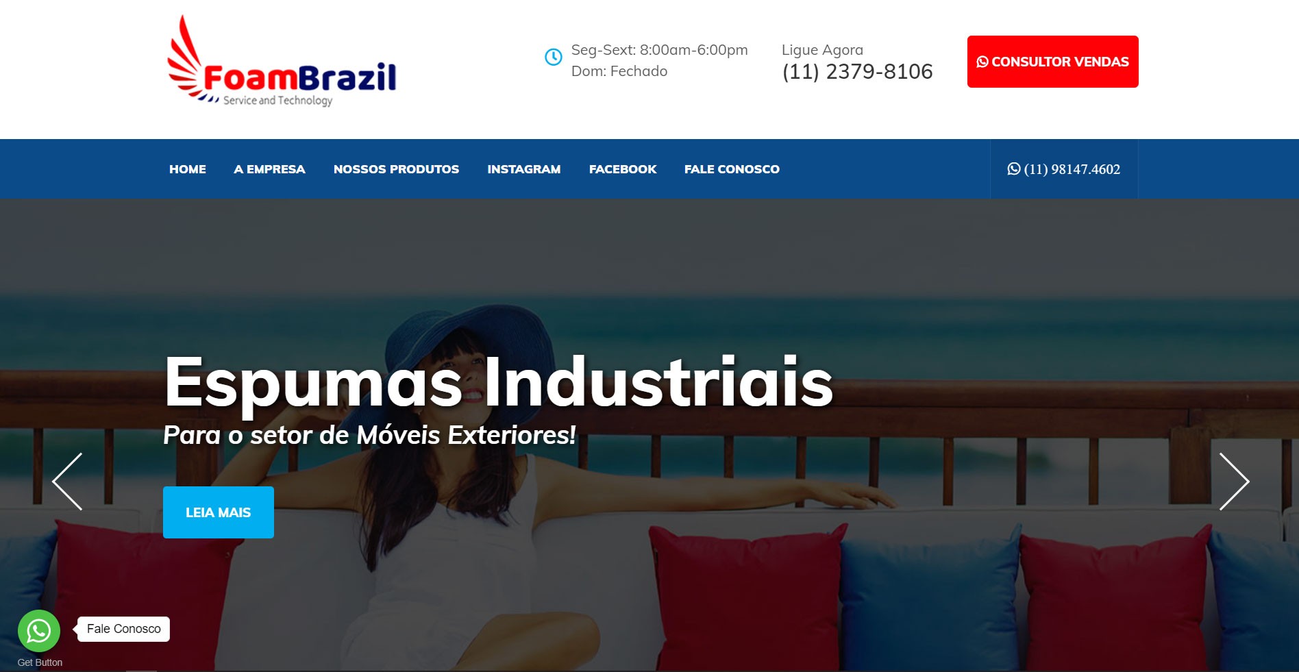  Foam Brazil se tornando lider de buscas SEO em seu mercado!