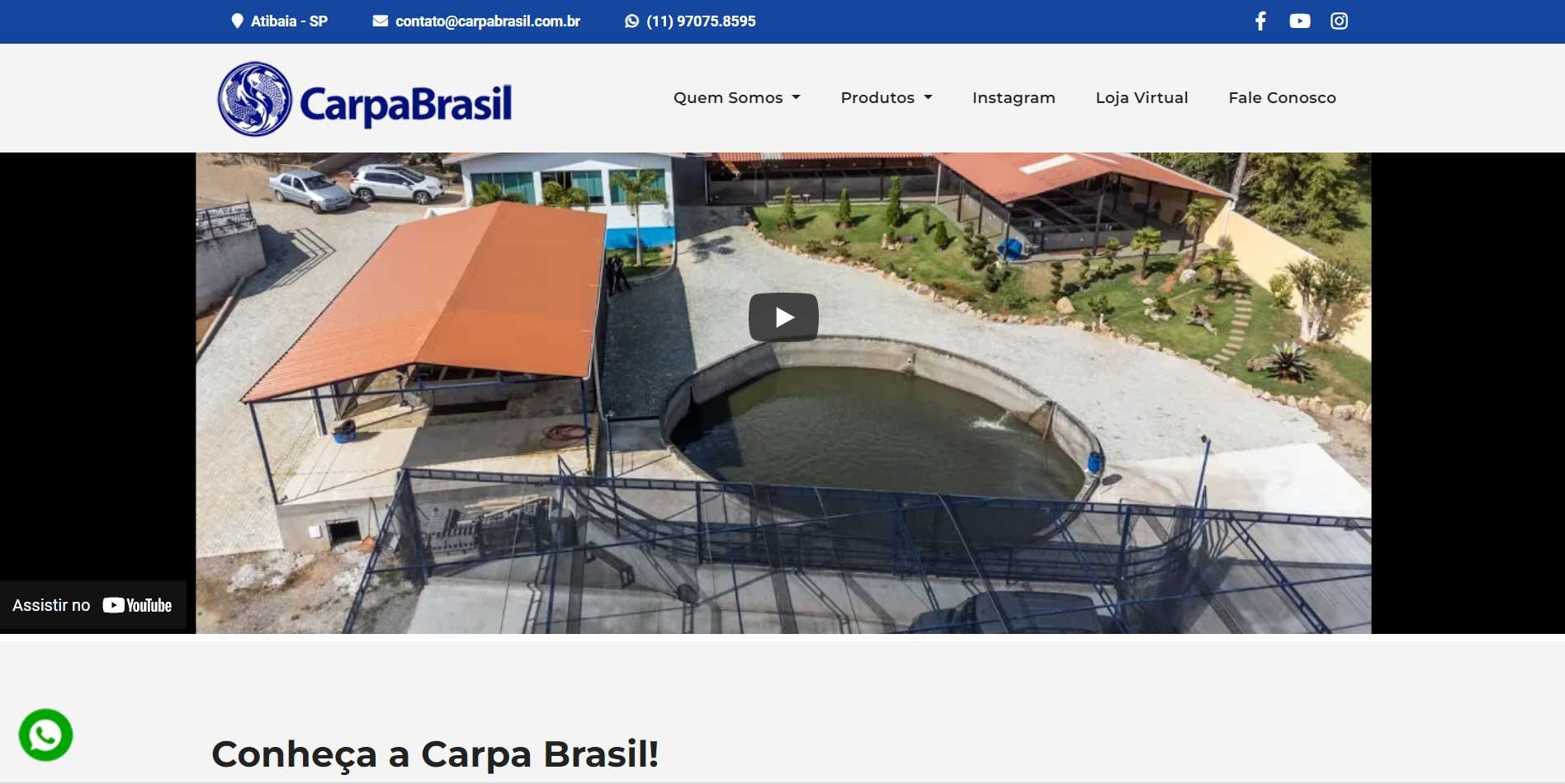  Novo Projeto CMS customizado no Ar! Carpa Brasil
