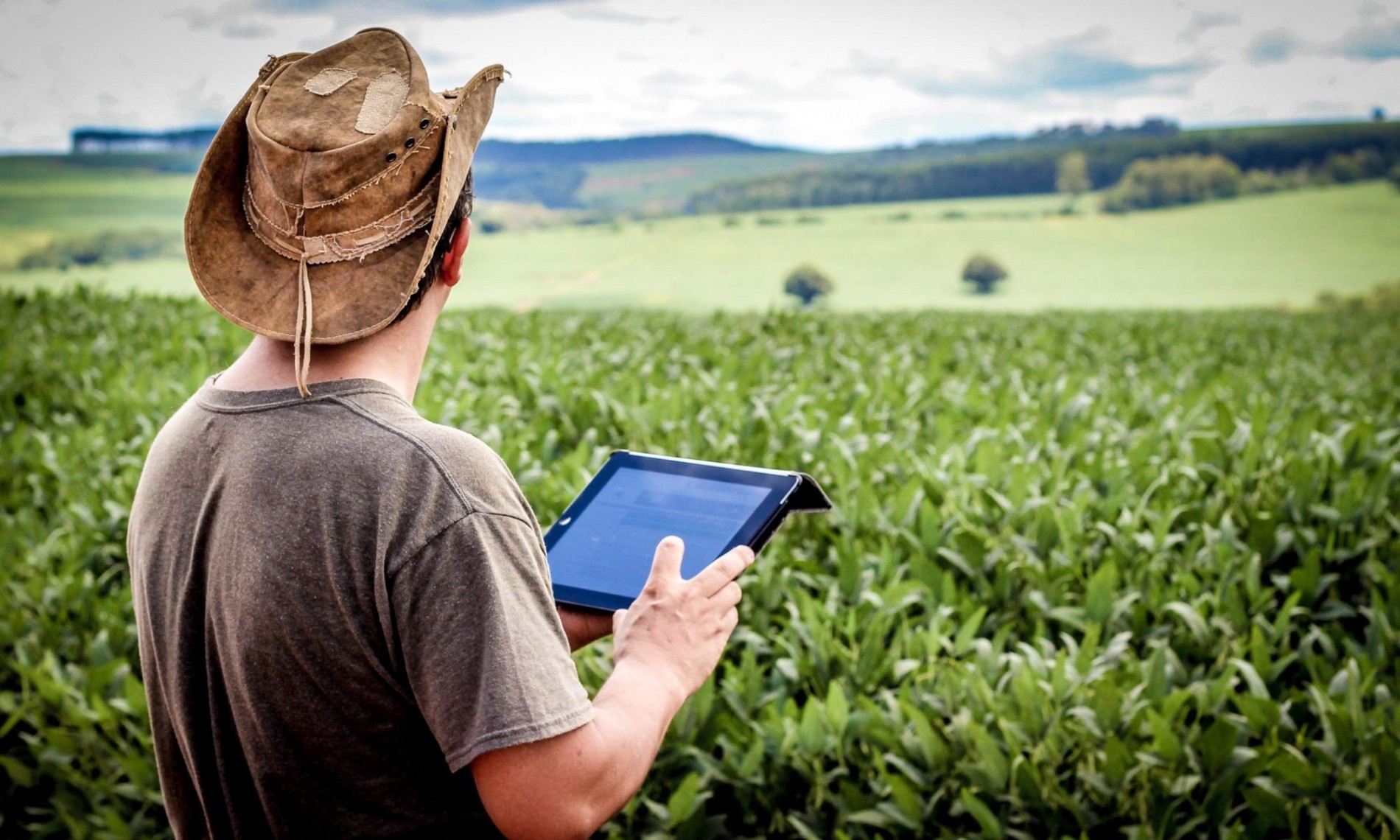  Startups promovem revolução digital no setor agrícola